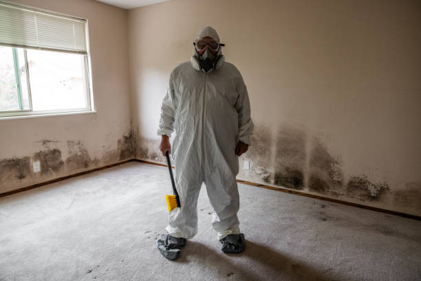 Best Biohazard Mold Removal  in Erlanger, KY